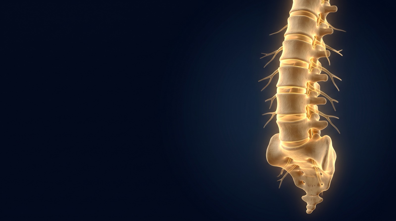 The lumbar spine, L1 through L5 and the sacrum, illuminated in gold against navy — lower back pain and subluxation at Rochet Family Chiropractic, Royal Palm Beach FL