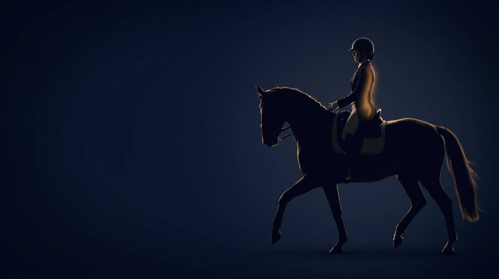 Dressage horse and rider in navy silhouette with the rider's spine glowing gold — equestrian structural care at Rochet Family Chiropractic, Wellington FL